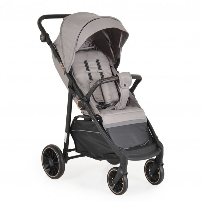 Carucior sport pliabil pentru copii Moni Buggy Bej